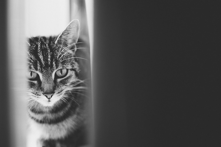 Village Fete Wedding-4